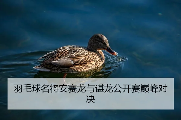 羽毛球名将安赛龙与谌龙公开赛巅峰对决